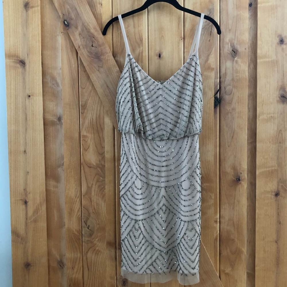 Adrianna Papell Sequin Mesh Blouson Dress